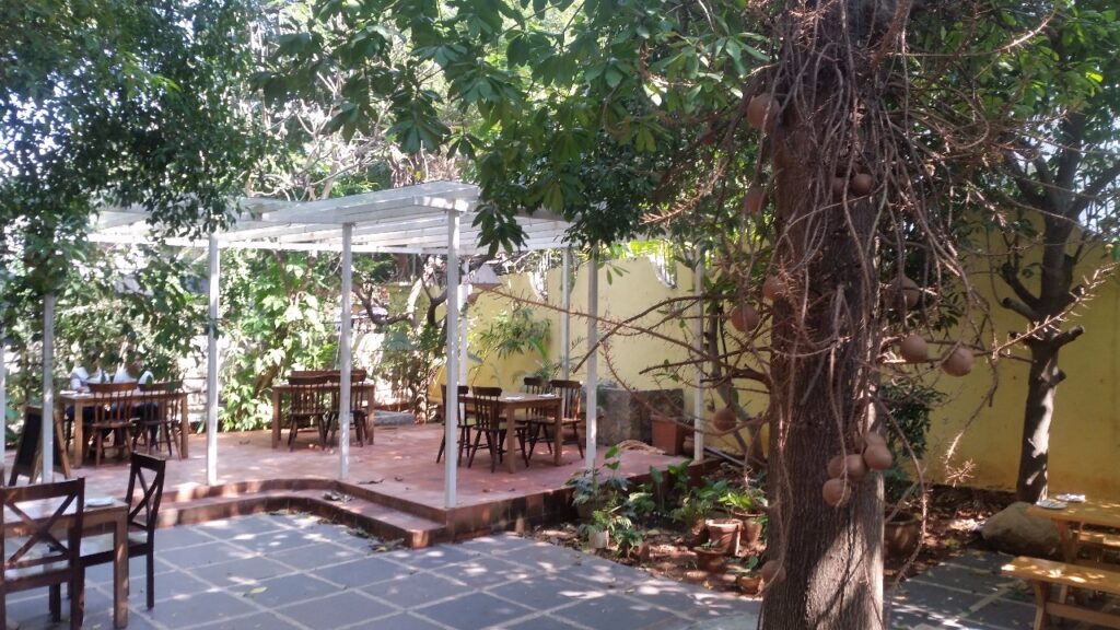 Autumn Leaf Cafe